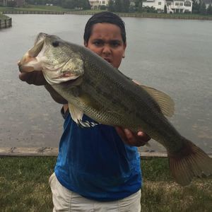 Meet your Posher, Youssef